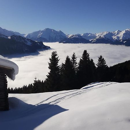 Apartamento Haus Viktoria Mayrhofen Exterior foto